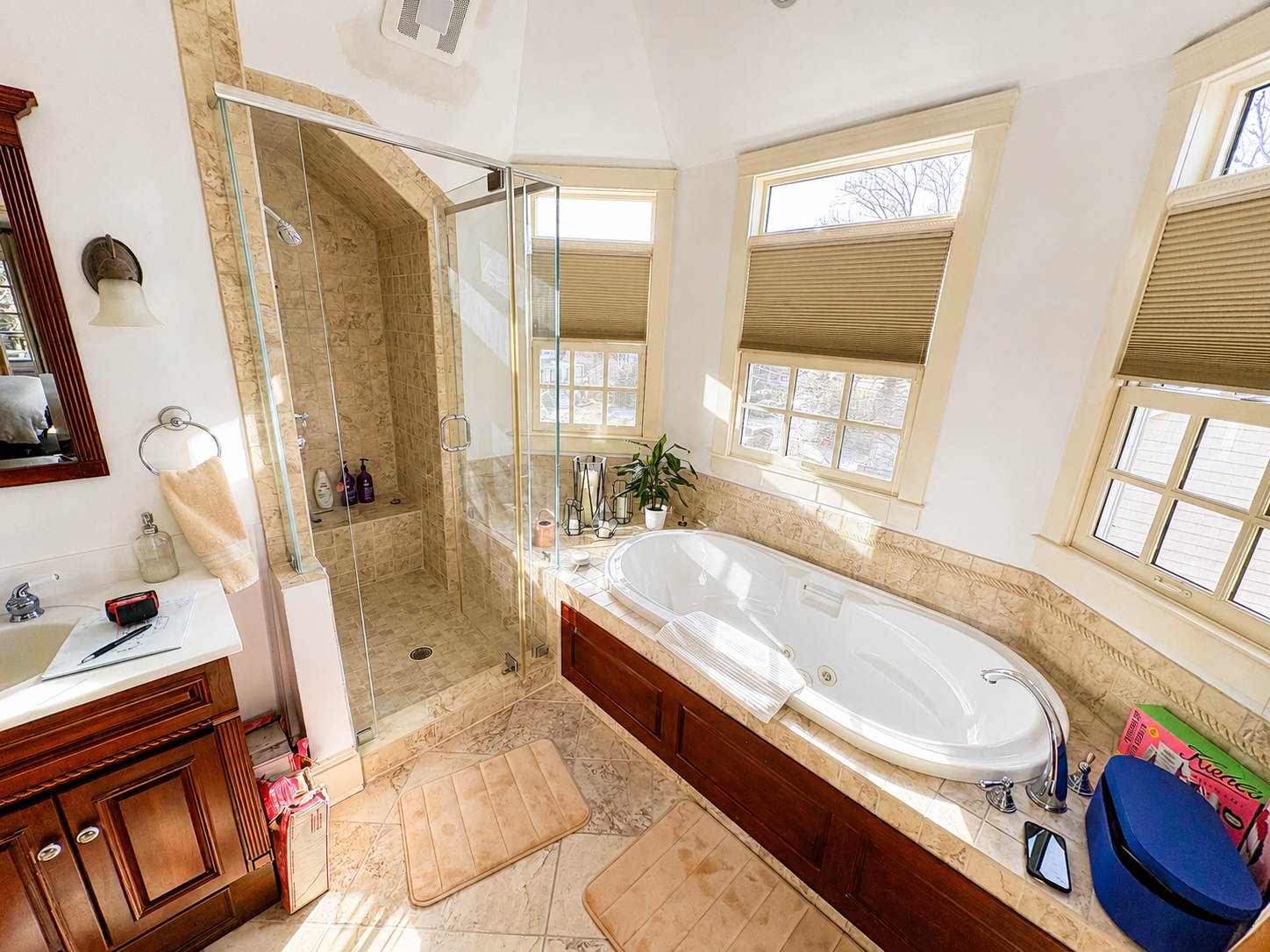 Makeover on Maye — original bathroom before renovation